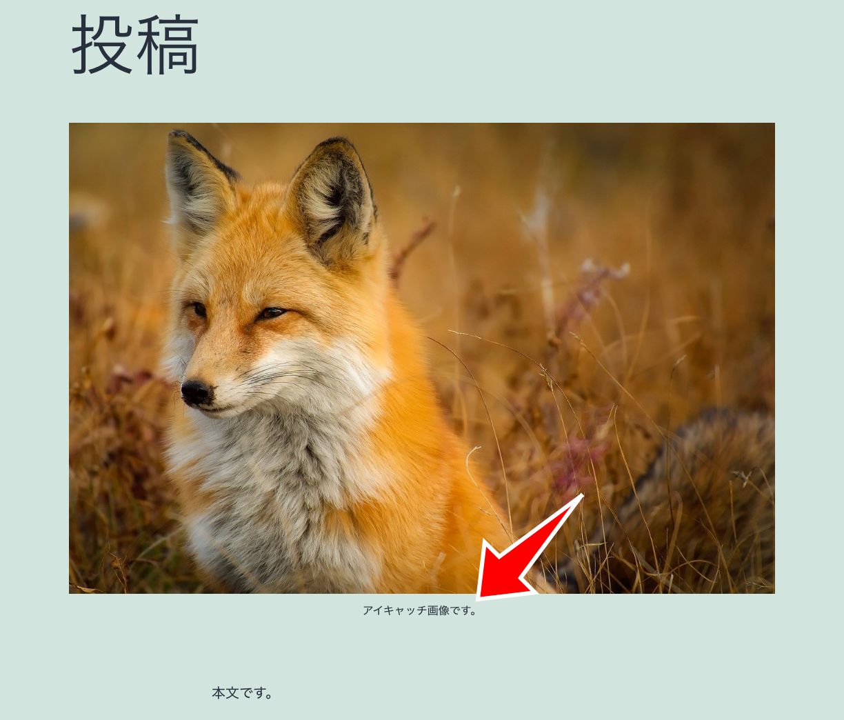 fsm-custom-featured-image-